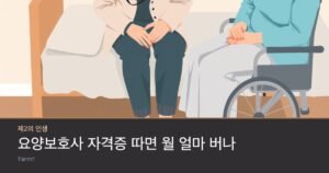 요양보호사 자격증 따면 월 얼마 버나 — 취득자 304만 명, 일하는 사람은 22.9%