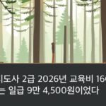 A wooden bench and a walking stick on a pine forest trail with sunlight falling through tall trees