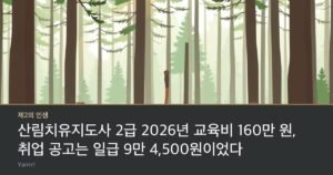 A wooden bench and a walking stick on a pine forest trail with sunlight falling through tall trees